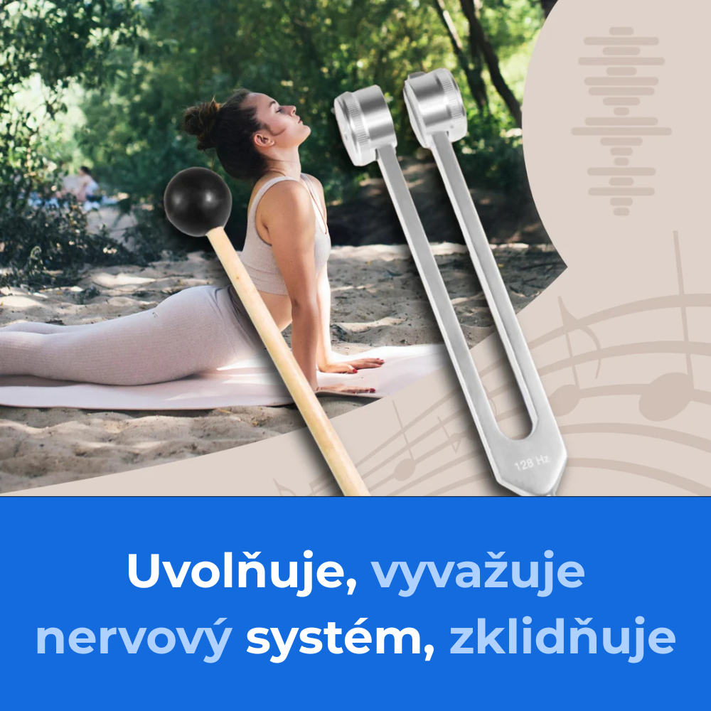 LORLINA 128Hz detail nástroje